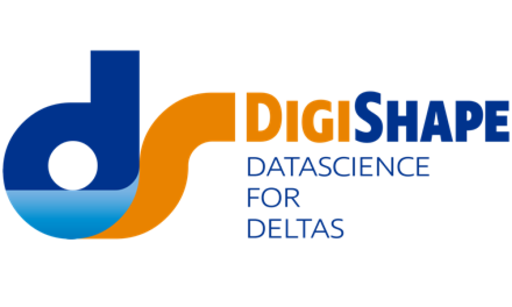 Logo DigiShape