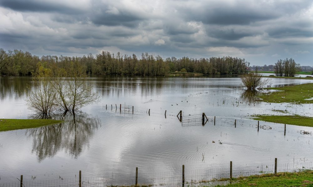 The Waal river bed in winter on an overcast day near Nieuwaal (NL)